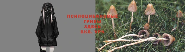 прущая мука Нея