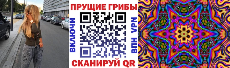 где купить наркоту  Починок  Галлюциногенные грибы Magic Shrooms 